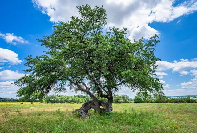 a view of a lake in a sunset