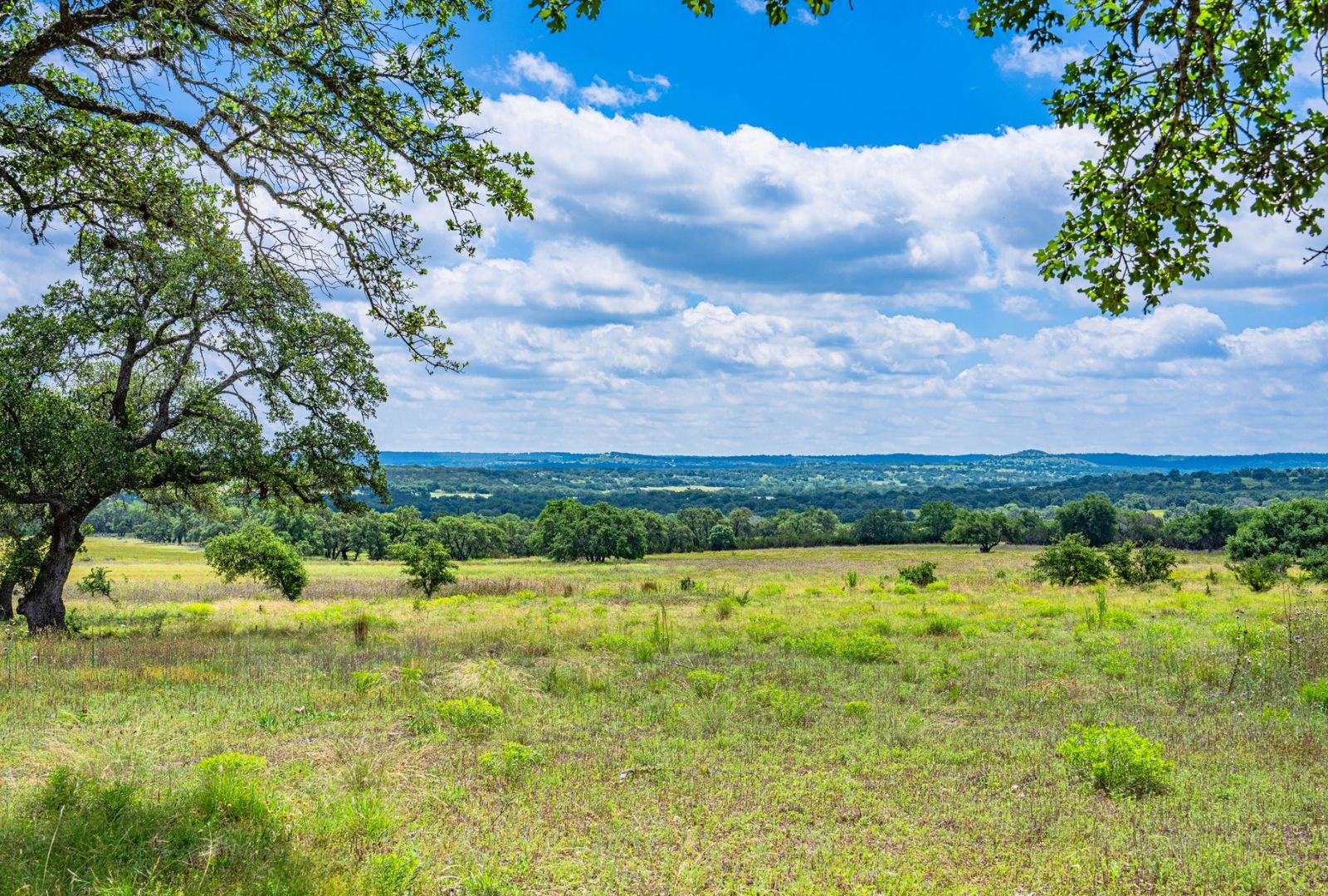 0 Gibson-Best Road Hye, TX 78635 - Photo 38 of 40