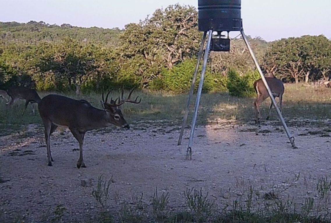 0 Gibson-Best Road Hye, TX 78635 - Photo 39 of 40 a backyard of a house with table and chairs