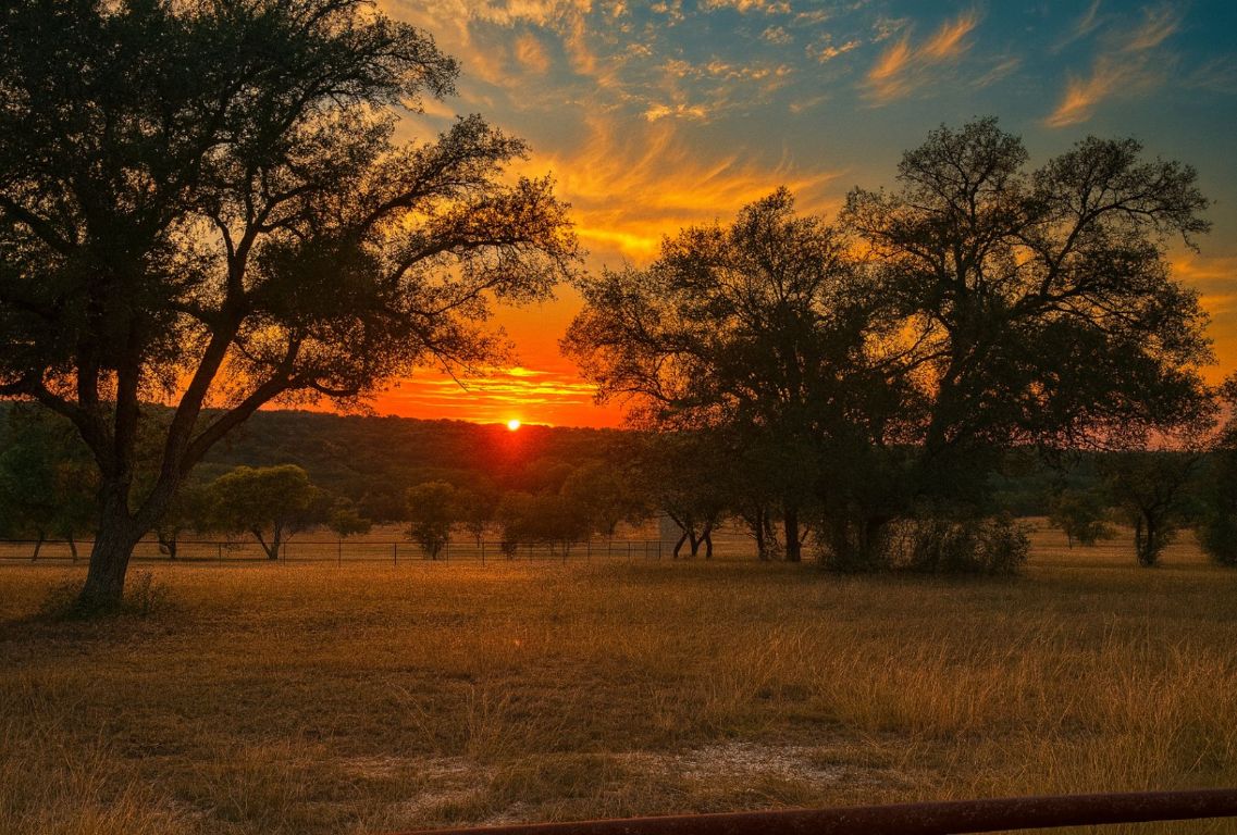 0 Gibson-Best Road Hye, TX 78635 - Photo 6 of 40 a view of outdoor space with trees