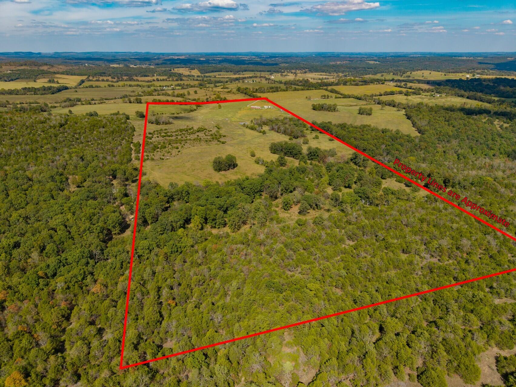 9 Meal Ranch Road Theodosia, MO 65761 - Photo 51 of 60 9 Meal Ranch-05pl2