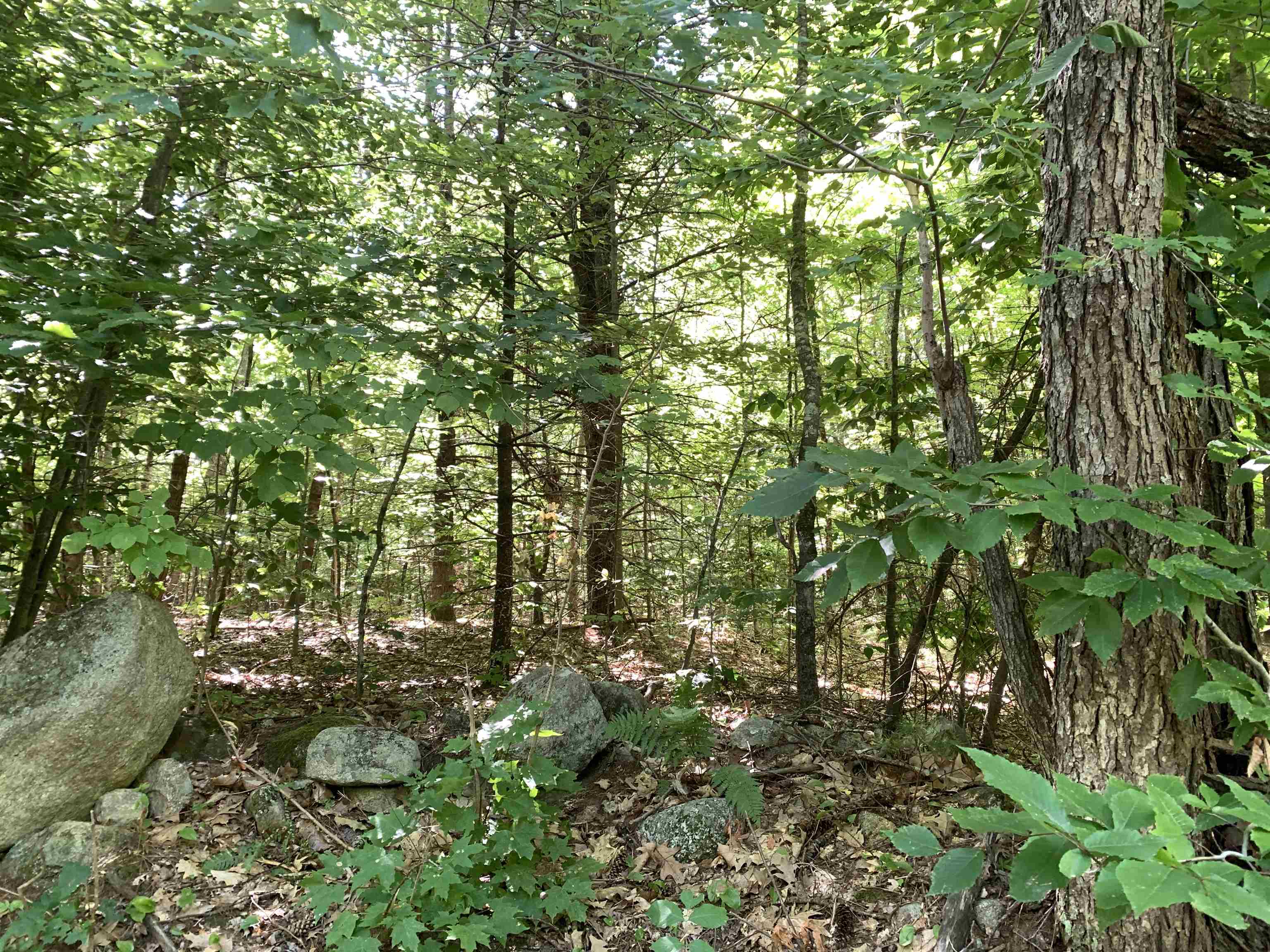 0 Reservation Road, Unit 623 Deerfield, NH 03037 - Photo 6 of 11