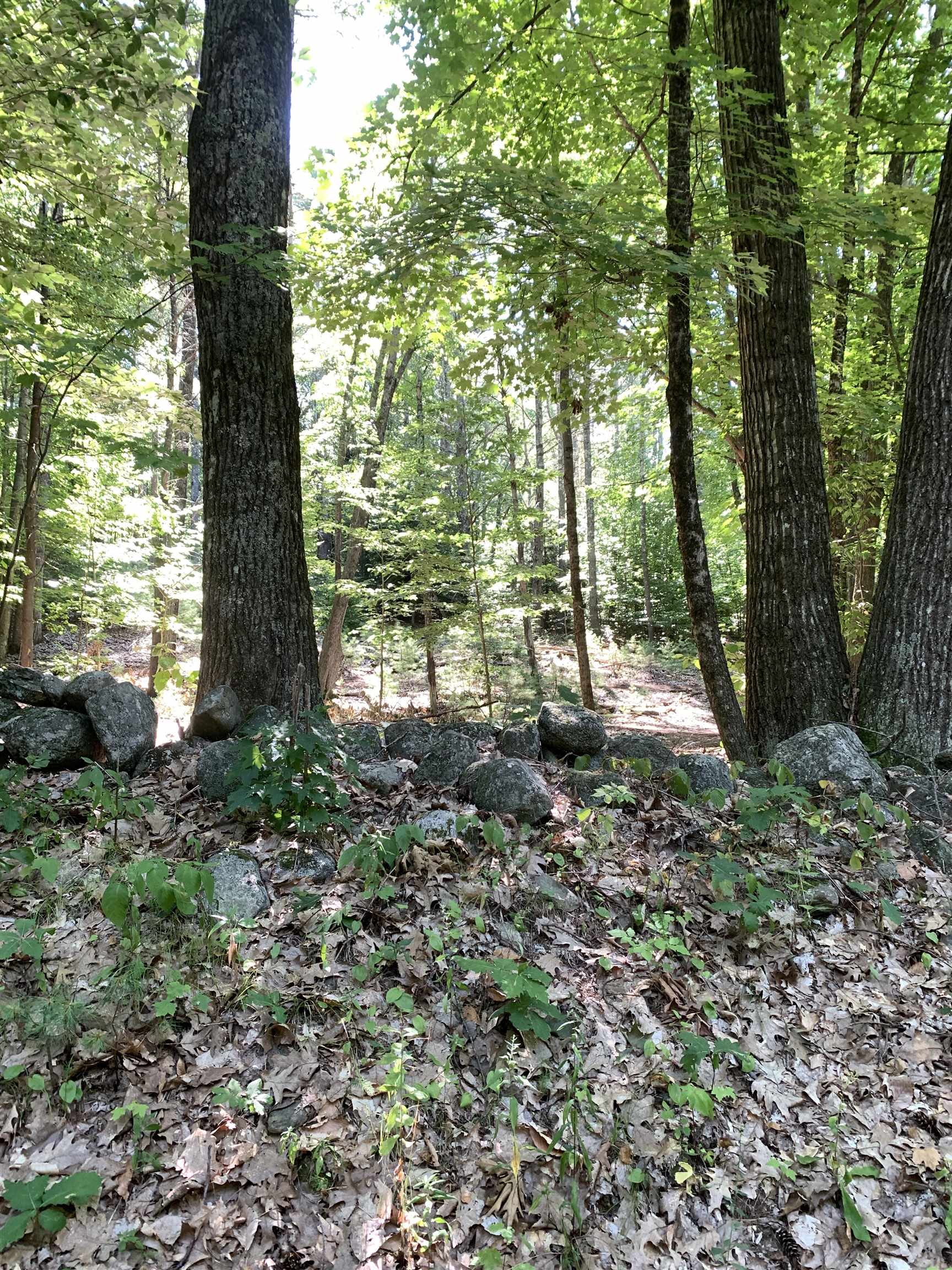 0 Reservation Road, Unit 623 Deerfield, NH 03037 - Photo 9 of 11