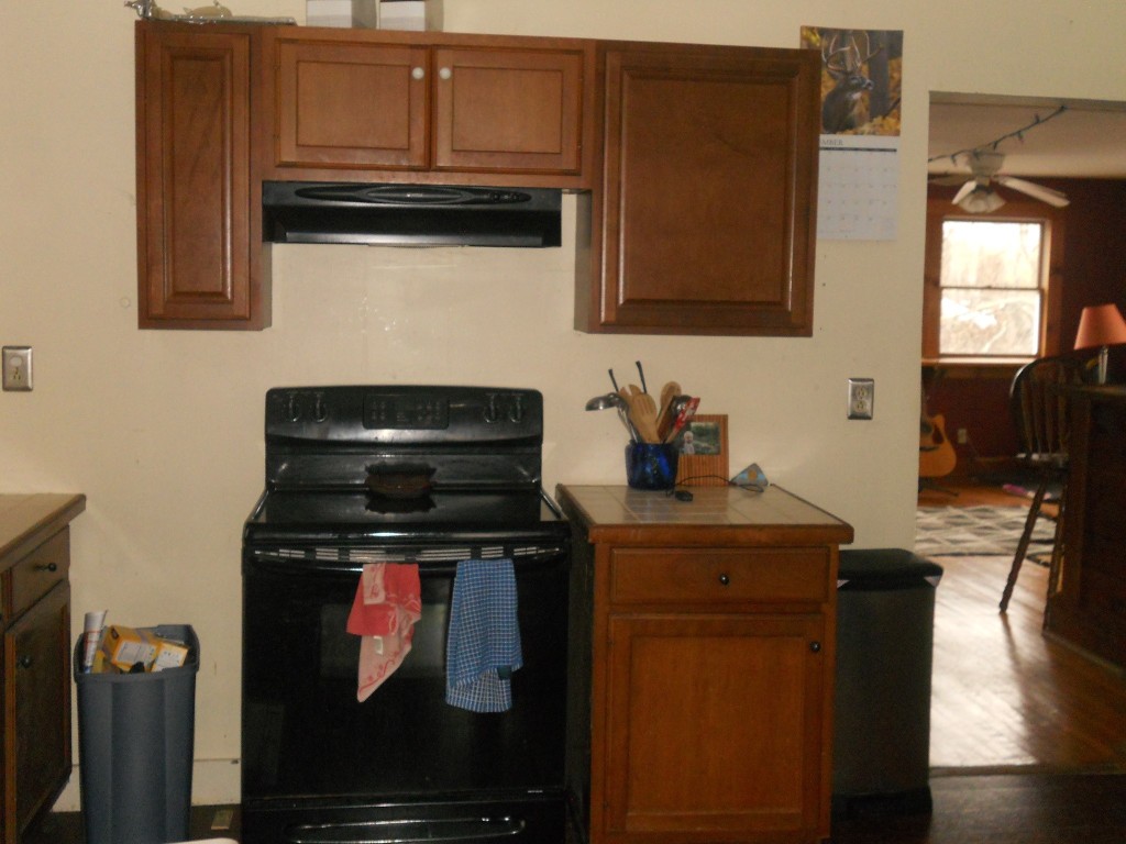 211 Brink Road Candor, NY 13743 - Photo 8 of 47 Gallery Image 8