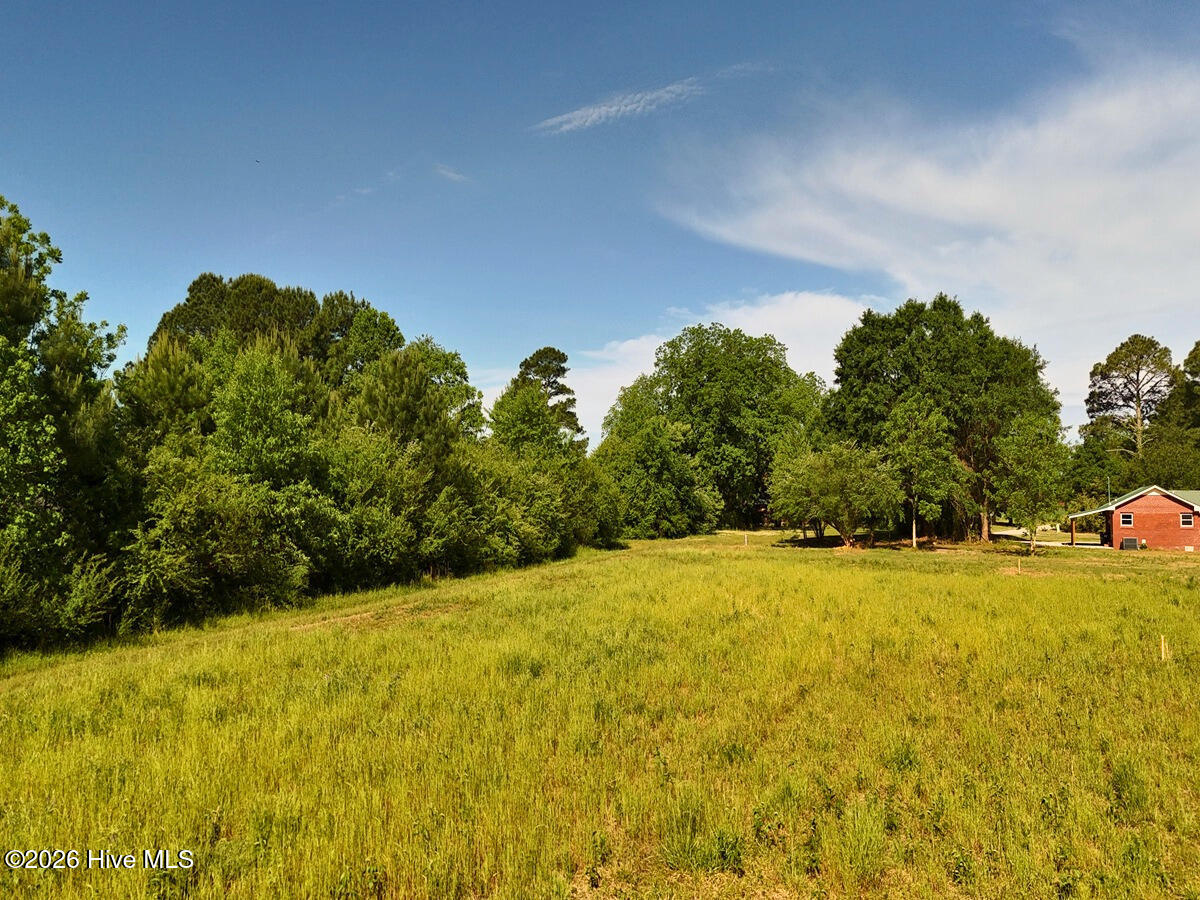 0 Old Chinquapin Road Beulaville, NC 28518 - Photo 11 of 31 11.