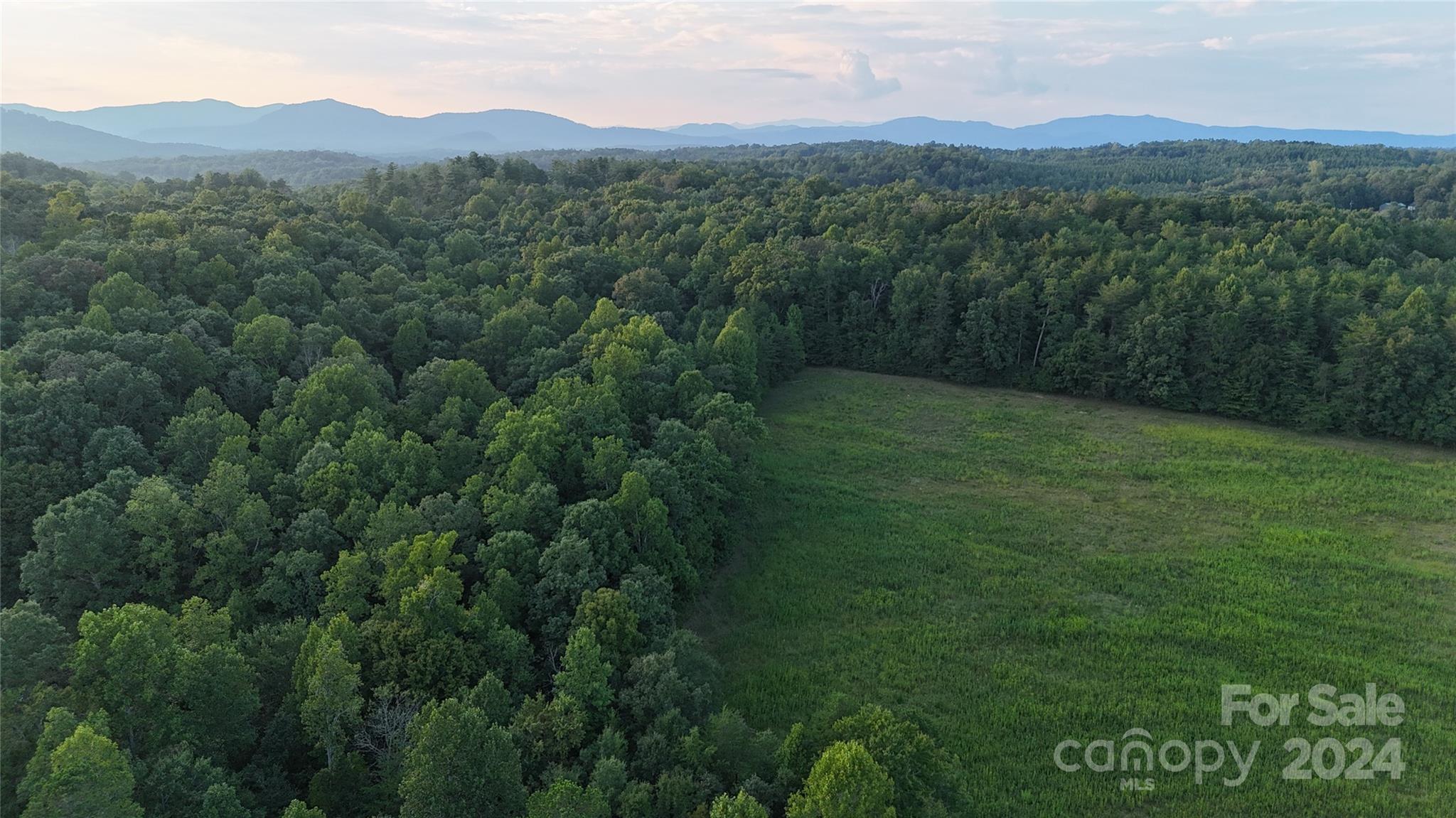206 Fallen Oaks Lane Rutherfordton, NC 28139 - Photo 3 of 26 a view of a lush green hillside and a mountain