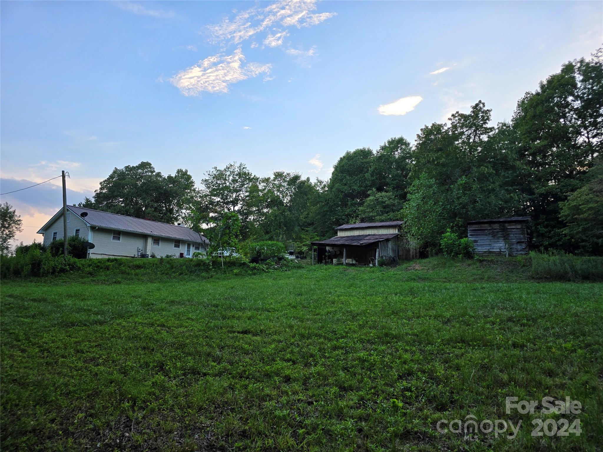 206 Fallen Oaks Lane Rutherfordton, NC 28139 - Photo 9 of 26 a view of a house with a backyard
