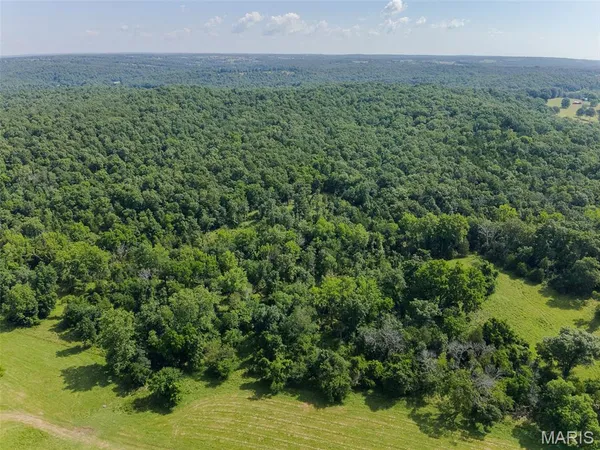 $599,900 | 0 County Road 544, Bakersfield, MO 65609