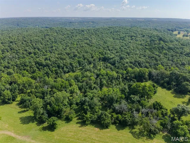 $599,900 | 0 County Road 544, Bakersfield, MO 65609