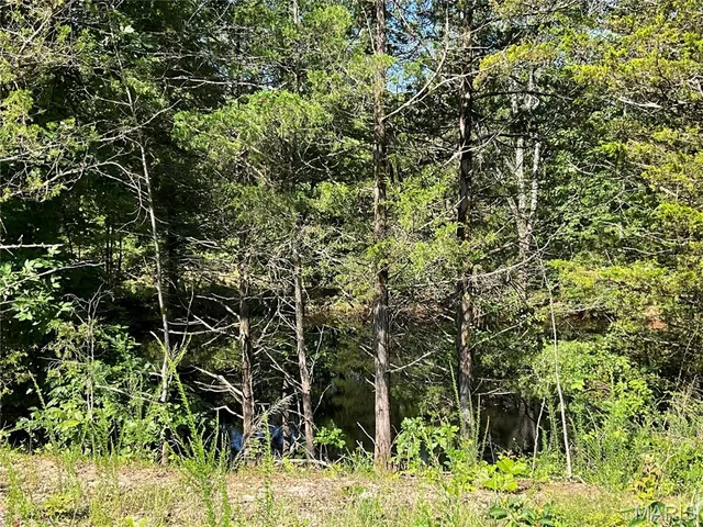 $599,900 | 0 County Road 544, Bakersfield, MO 65609