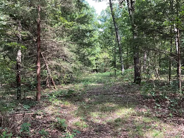 $599,900 | 0 County Road 544, Bakersfield, MO 65609