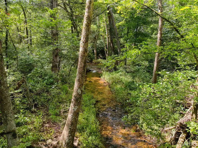 $599,900 | 0 County Road 544, Bakersfield, MO 65609