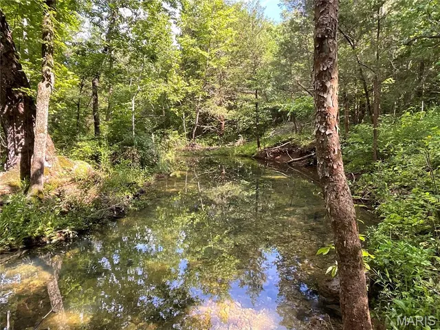 $599,900 | 0 County Road 544, Bakersfield, MO 65609