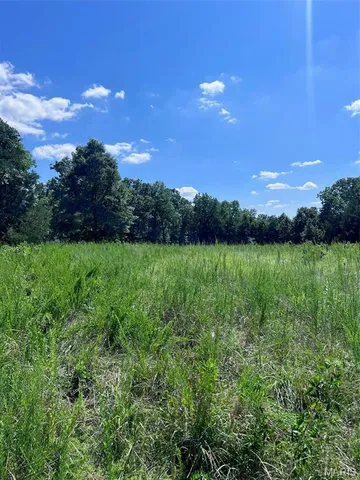 $599,900 | 0 County Road 544, Bakersfield, MO 65609