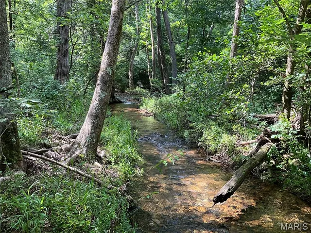 $599,900 | 0 County Road 544, Bakersfield, MO 65609