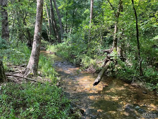 $599,900 | 0 County Road 544, Bakersfield, MO 65609