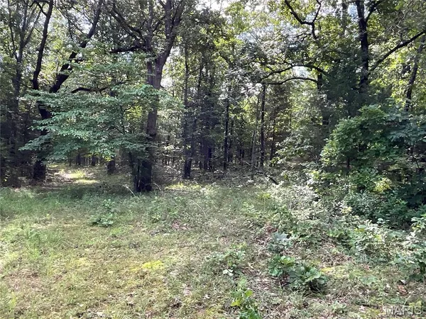 $599,900 | 0 County Road 544, Bakersfield, MO 65609