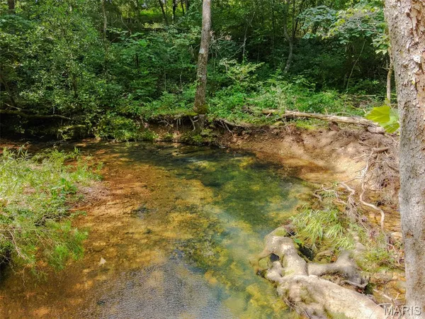 $599,900 | 0 County Road 544, Bakersfield, MO 65609