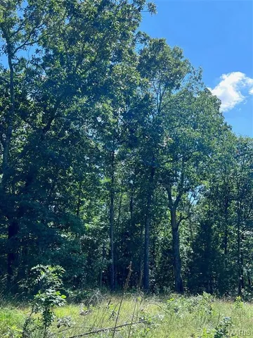 $599,900 | 0 County Road 544, Bakersfield, MO 65609