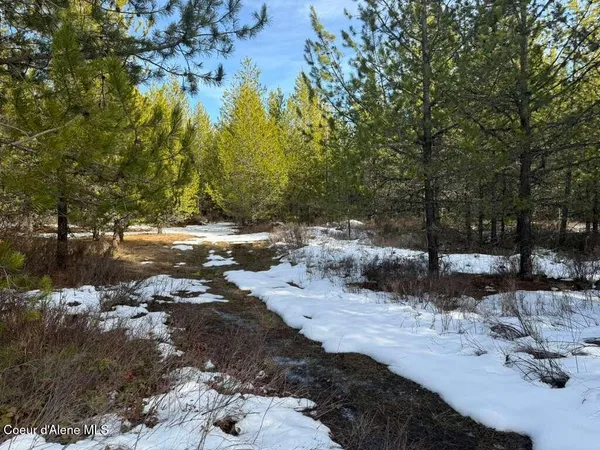 $99,000 | 170 Buckeye Lane, St. Maries, ID 83861