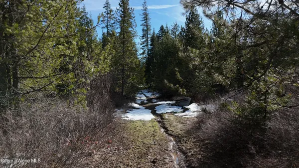 $99,000 | 170 Buckeye Lane, St. Maries, ID 83861