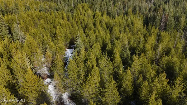 $99,000 | 170 Buckeye Lane, St. Maries, ID 83861