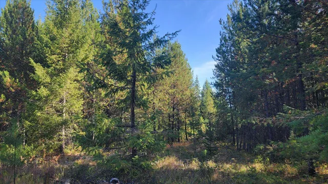 $775,000 | Nkn Green Road, Newport, WA 99156