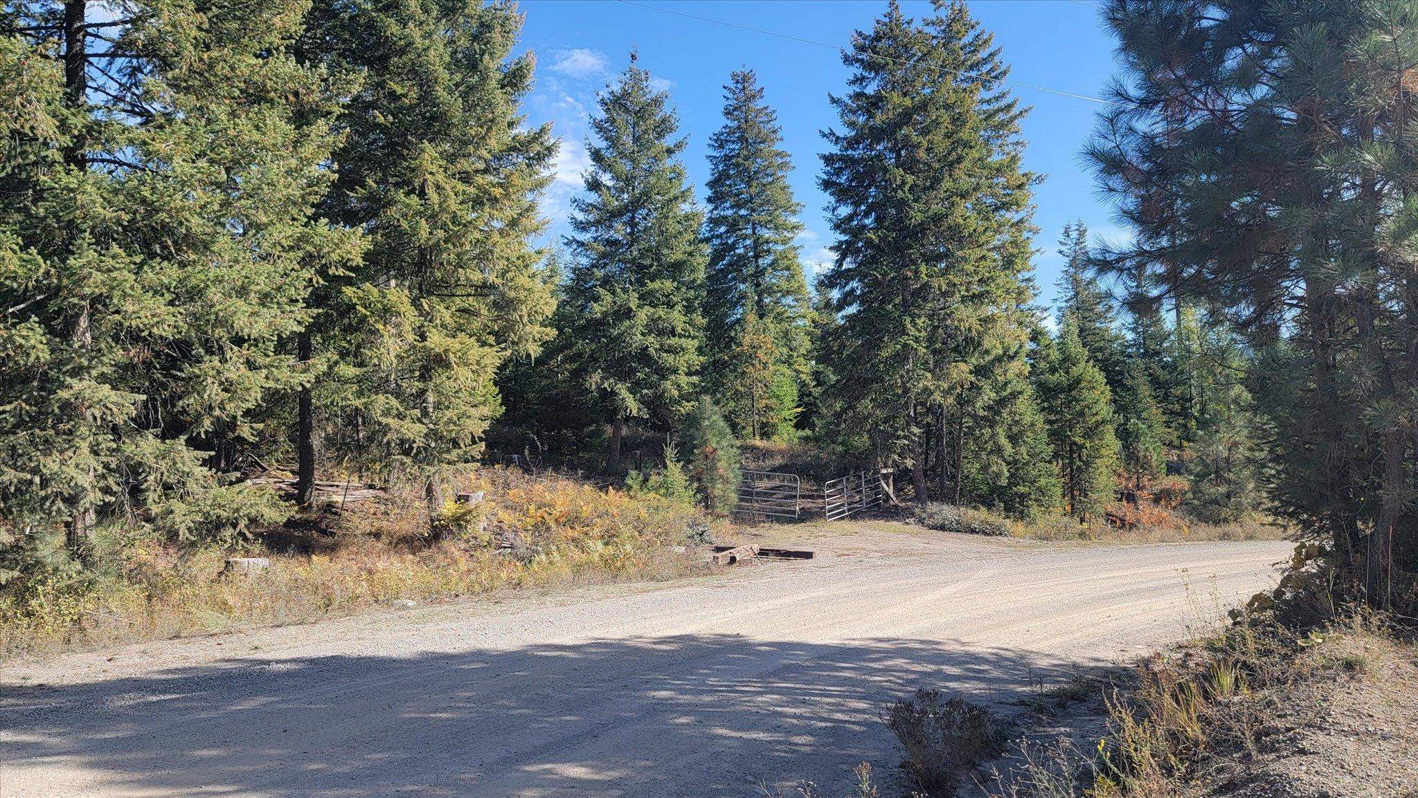 Nkn Green Road Newport, WA 99156 - Photo 13 of 49