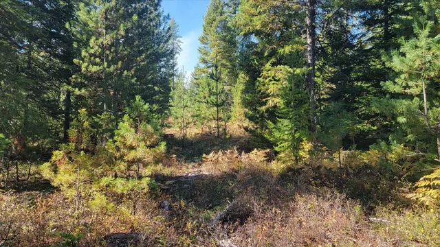 $775,000 | Nkn Green Road, Newport, WA 99156