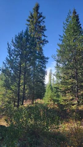 $775,000 | Nkn Green Road, Newport, WA 99156