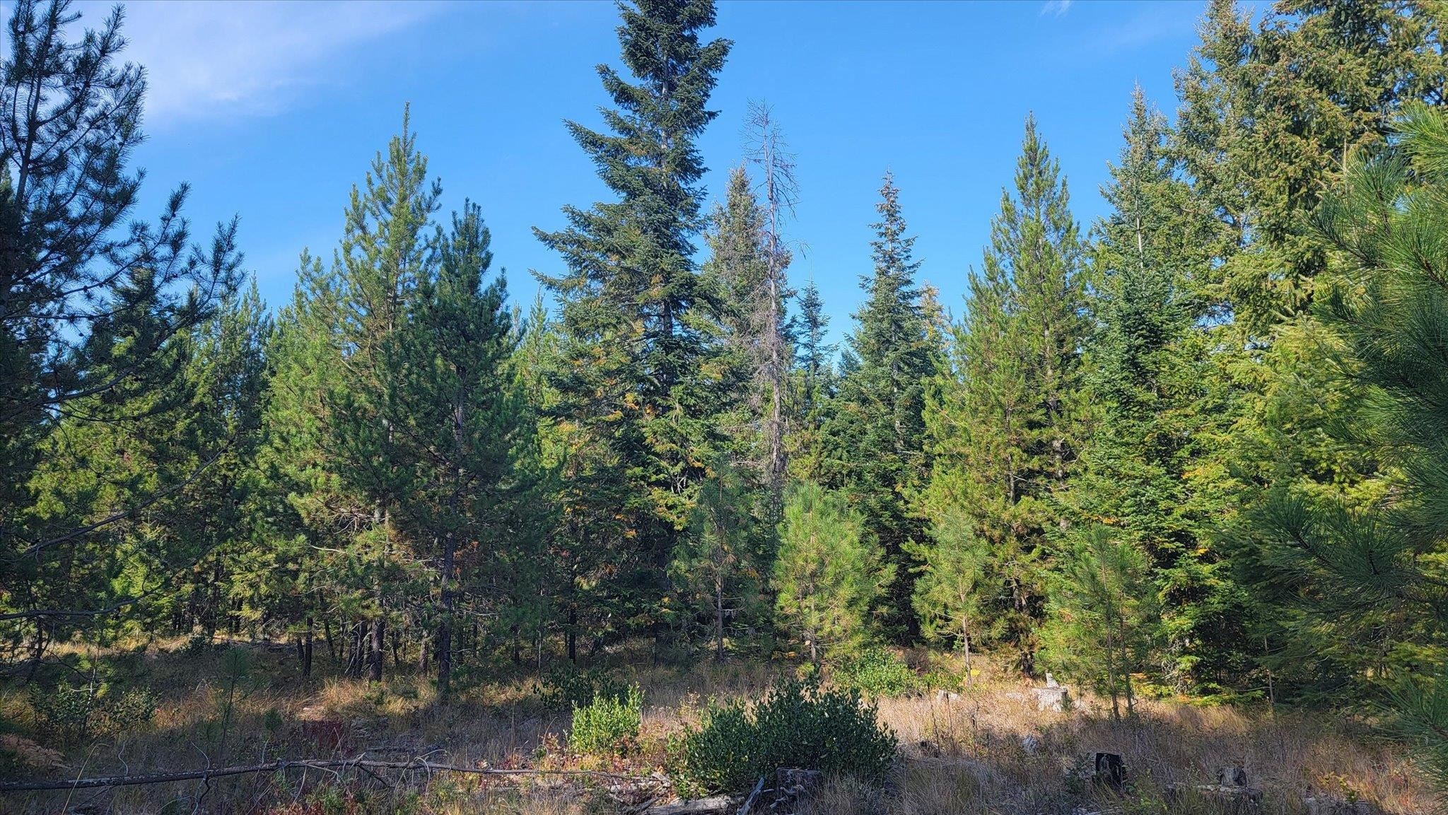 Nkn Green Road Newport, WA 99156 - Photo 16 of 49