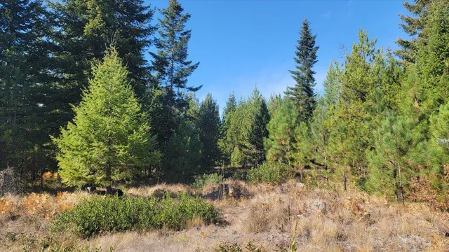 $775,000 | Nkn Green Road, Newport, WA 99156