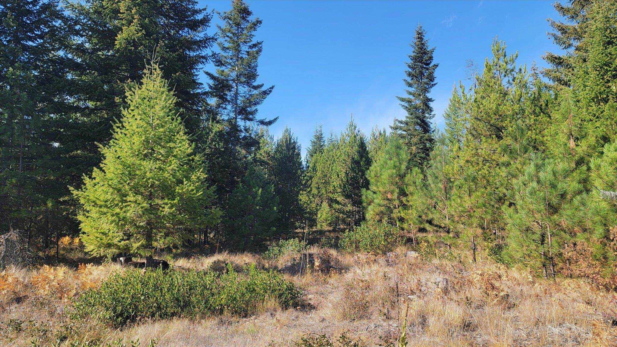 Nkn Green Road Newport, WA 99156 - Photo 27 of 49