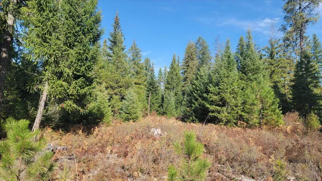 $775,000 | Nkn Green Road, Newport, WA 99156