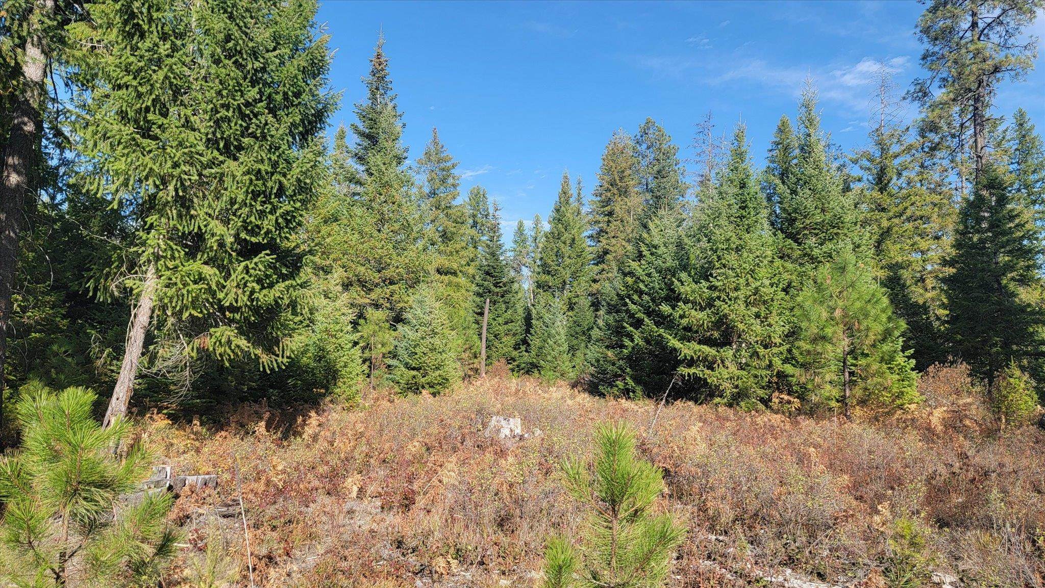 Nkn Green Road Newport, WA 99156 - Photo 28 of 49