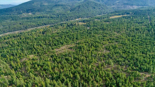 $775,000 | Nkn Green Road, Newport, WA 99156