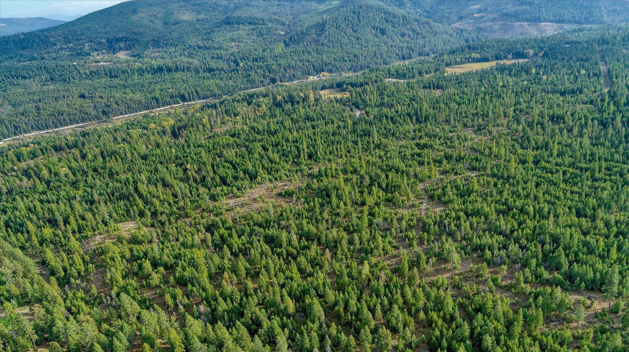 Nkn Green Road Newport, WA 99156 - Photo 33 of 49