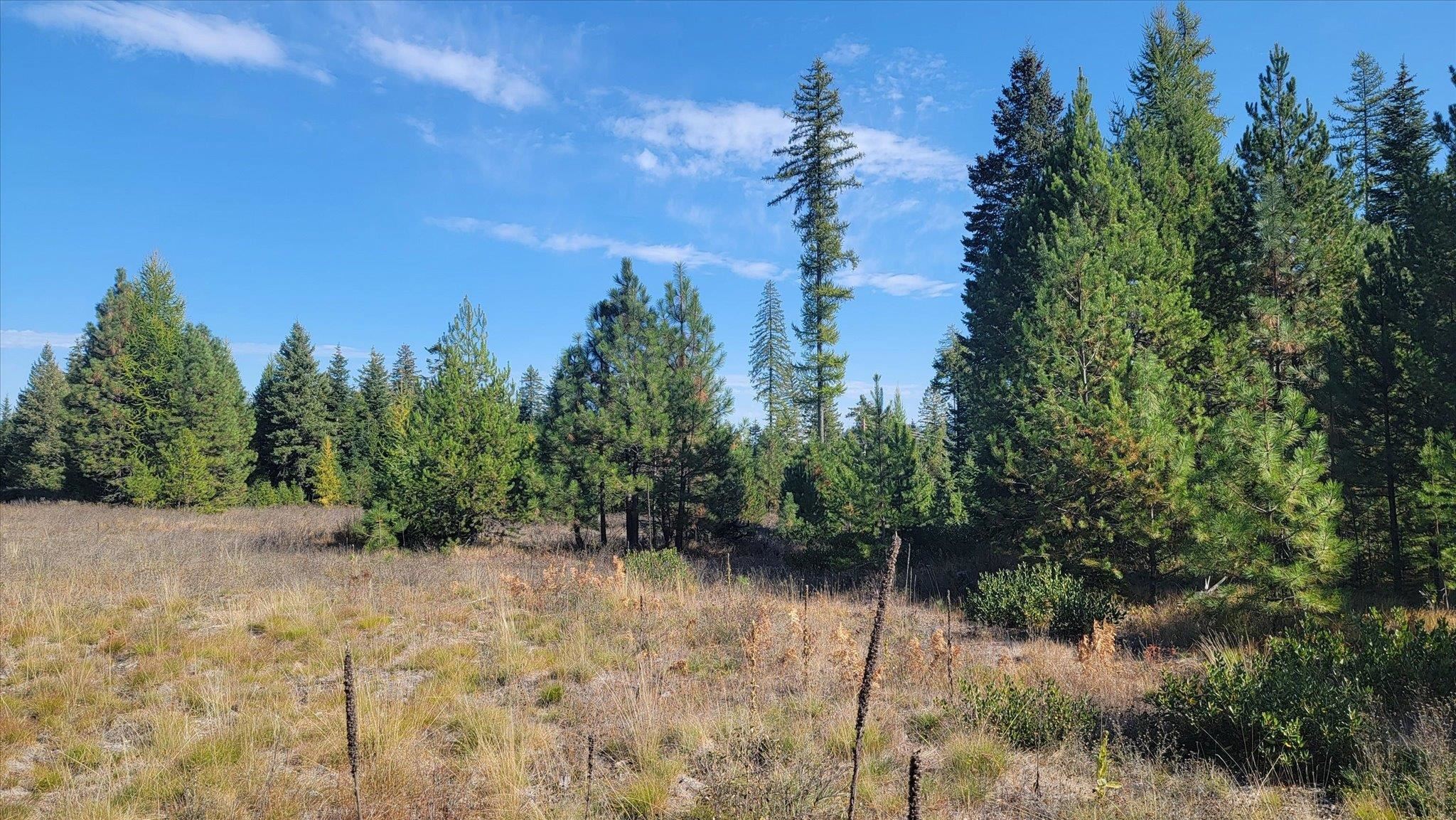 Nkn Green Road Newport, WA 99156 - Photo 38 of 49