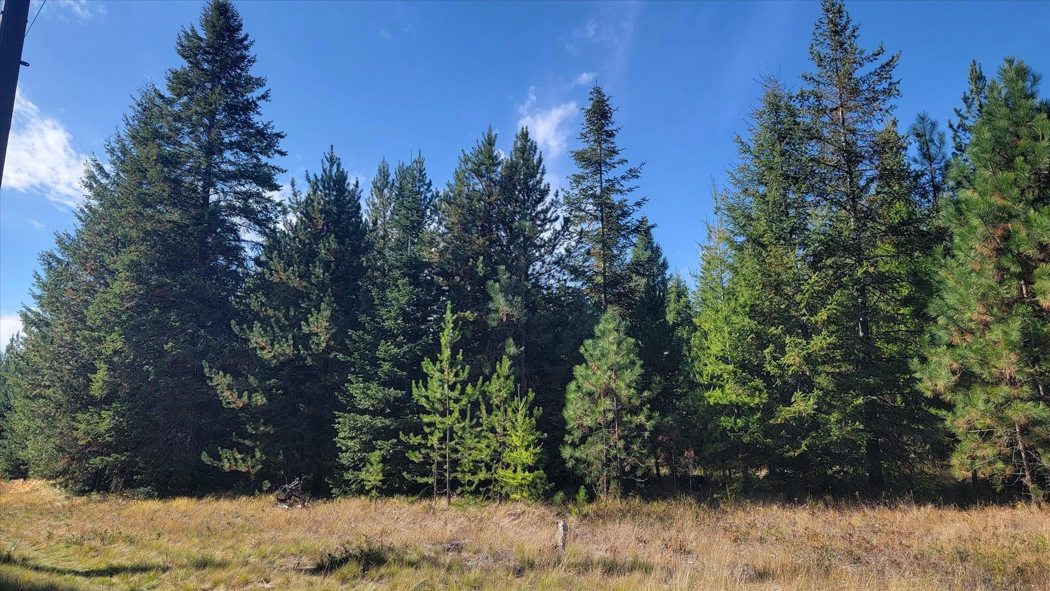 Nkn Green Road Newport, WA 99156 - Photo 39 of 49