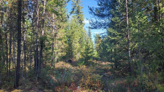 $775,000 | Nkn Green Road, Newport, WA 99156