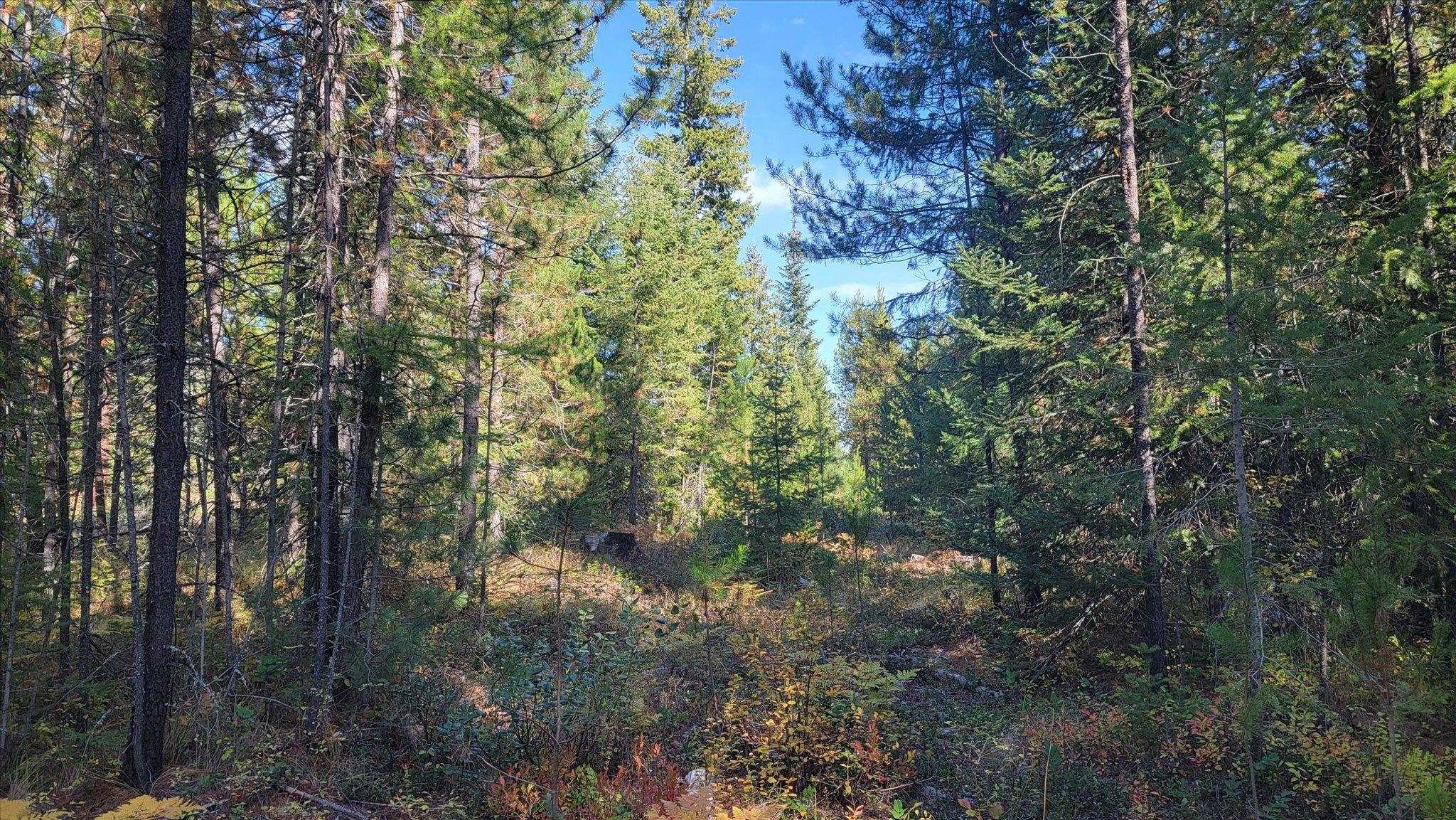 Nkn Green Road Newport, WA 99156 - Photo 40 of 49