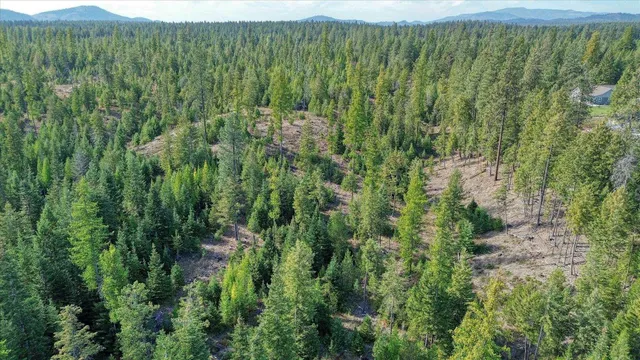 $775,000 | Nkn Green Road, Newport, WA 99156