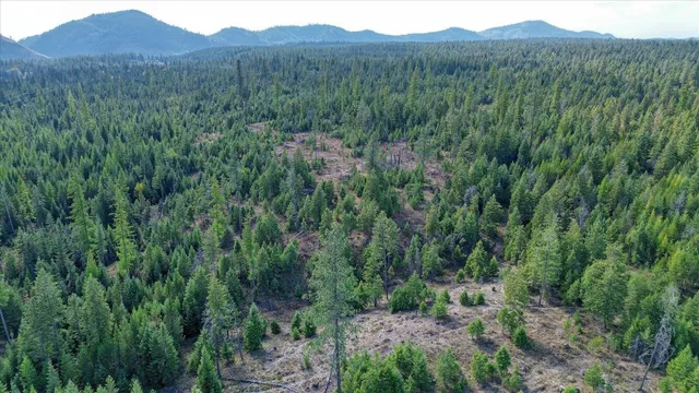 $775,000 | Nkn Green Road, Newport, WA 99156