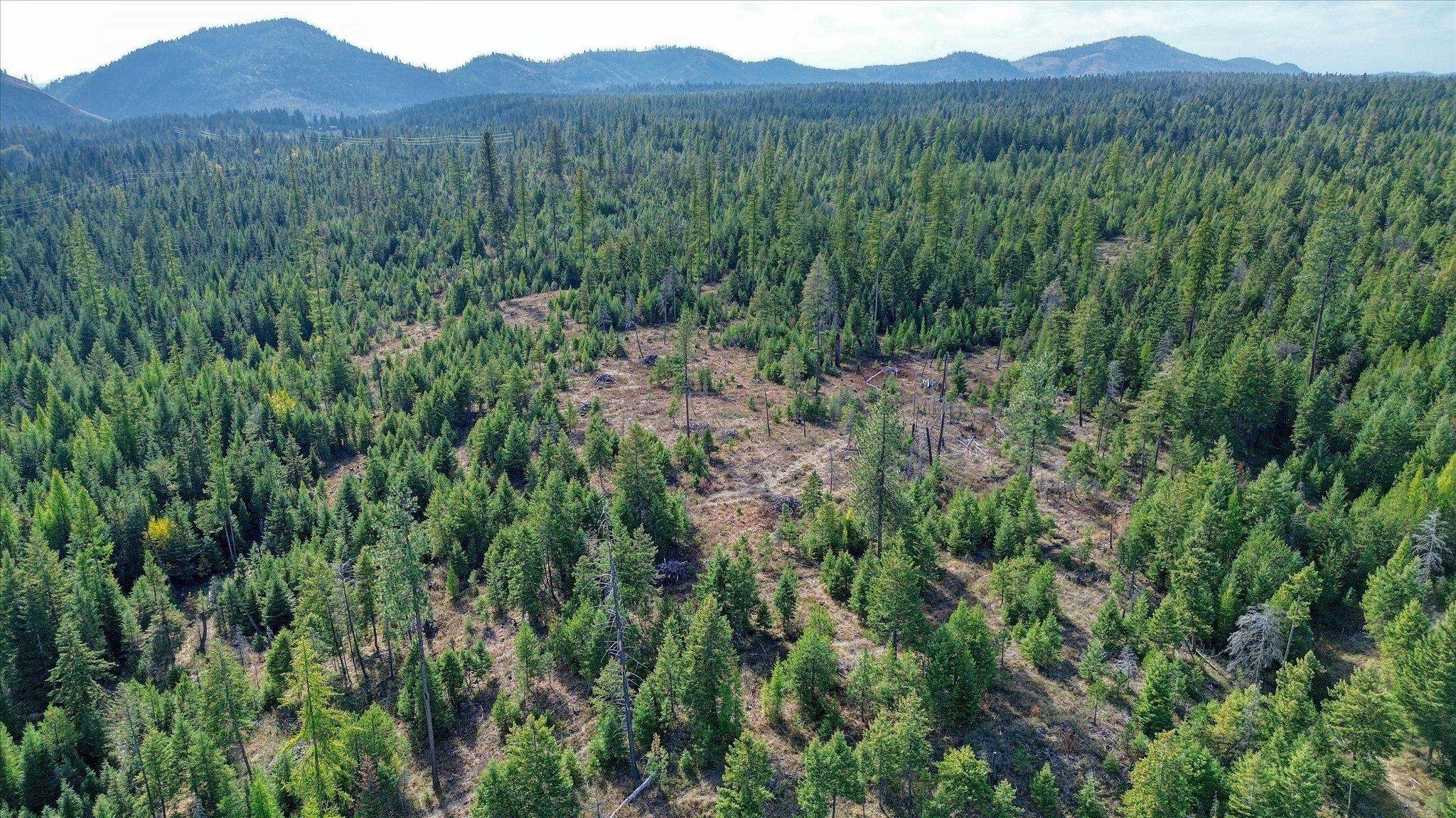 Nkn Green Road Newport, WA 99156 - Photo 47 of 49