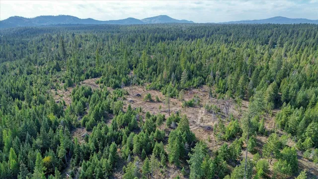 $775,000 | Nkn Green Road, Newport, WA 99156