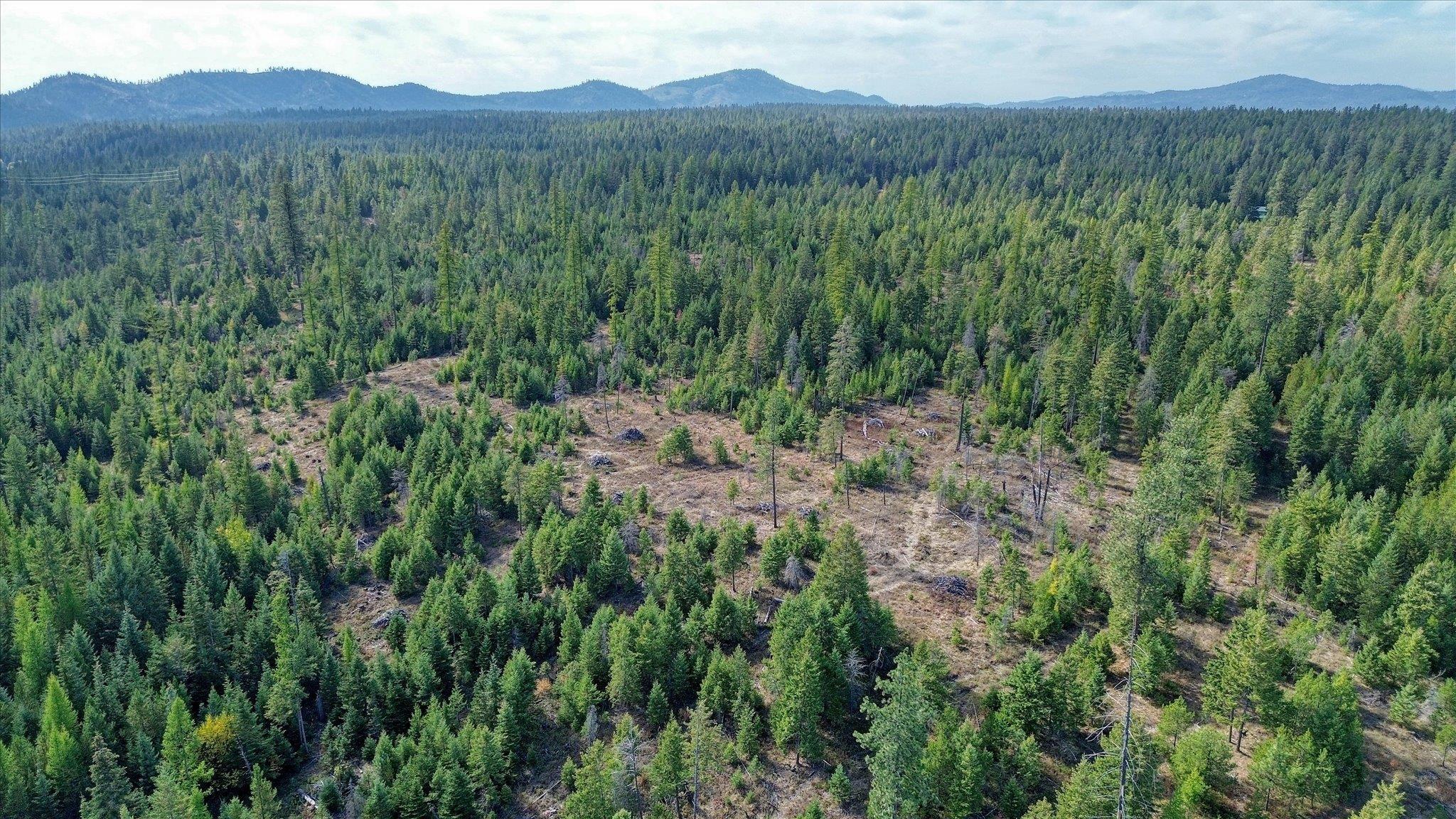 Nkn Green Road Newport, WA 99156 - Photo 48 of 49