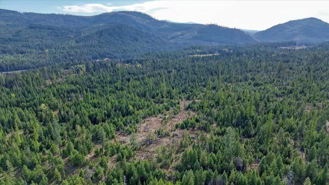 $775,000 | Nkn Green Road, Newport, WA 99156