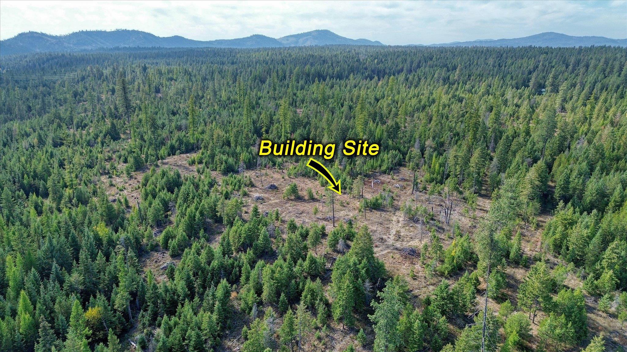 Nkn Green Road Newport, WA 99156 - Photo 6 of 49