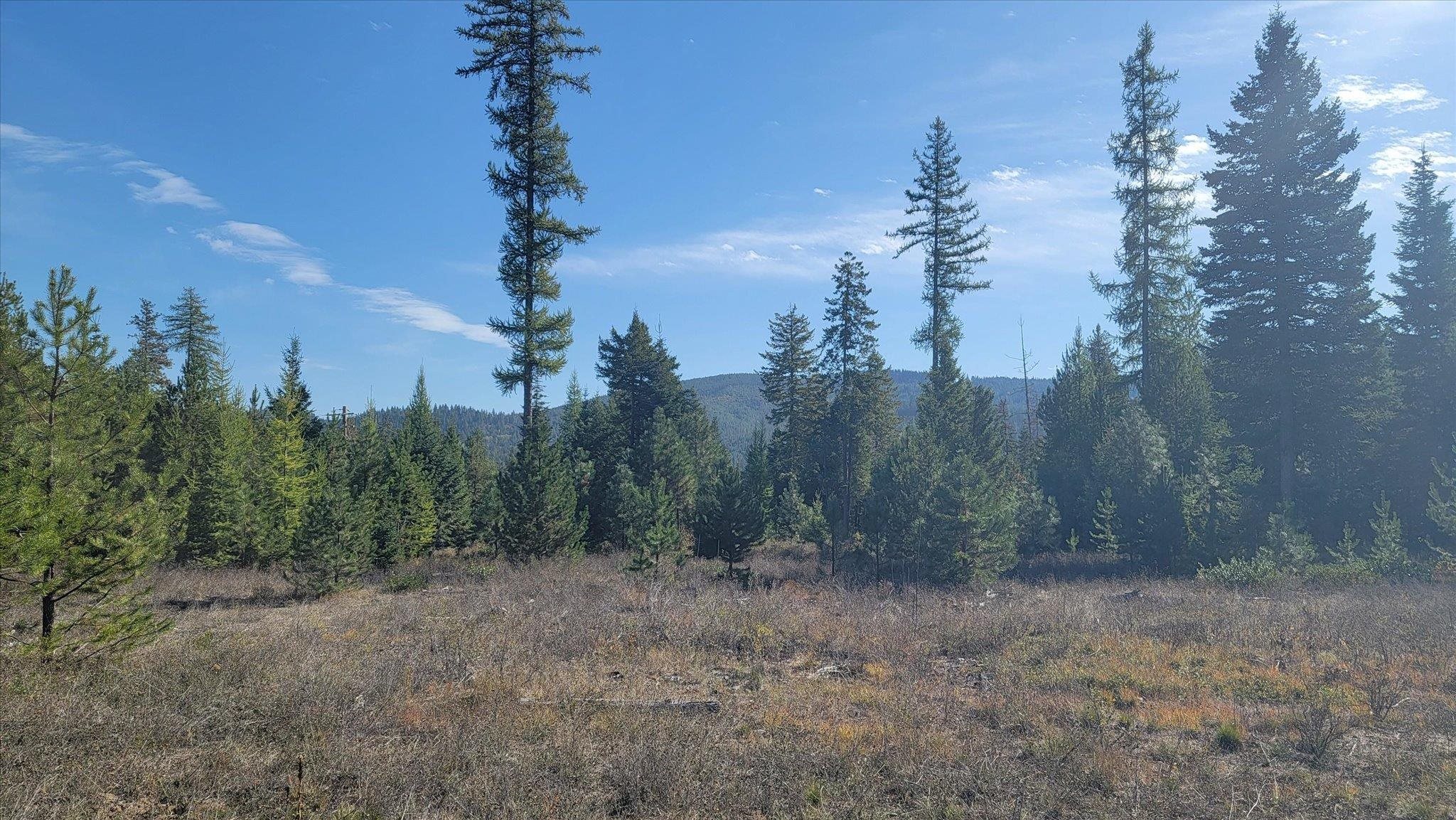 Nkn Green Road Newport, WA 99156 - Photo 9 of 49