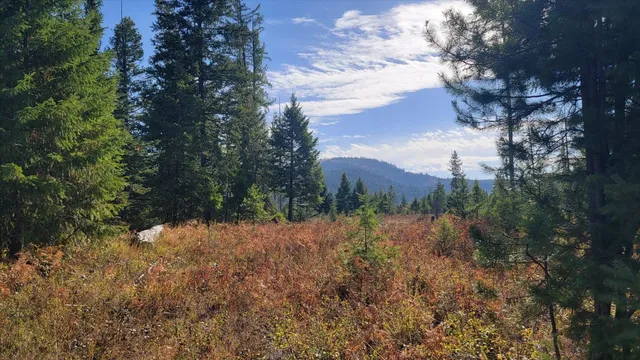 $775,000 | Nkn Green Road, Newport, WA 99156